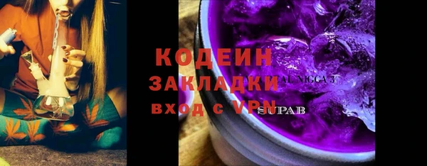 скорость Вяземский