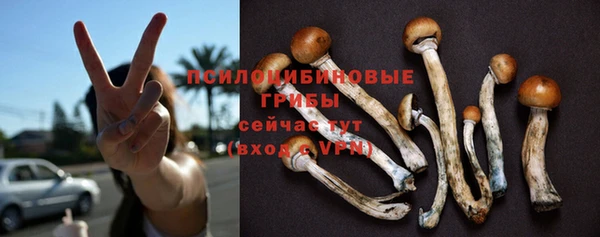 скорость Вяземский