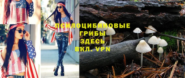 шишки Тихорецк