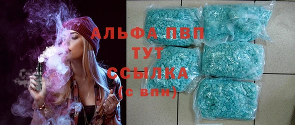 скорость Вяземский