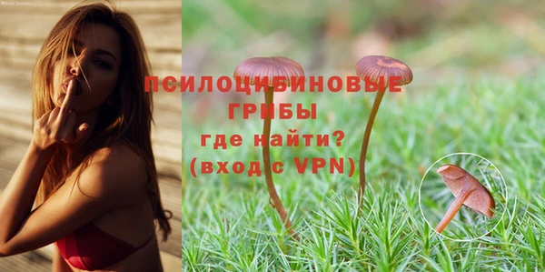 шишки Тихорецк