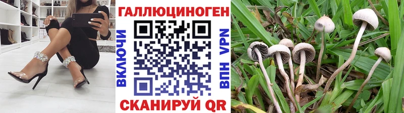 Псилоцибиновые грибы GOLDEN TEACHER  закладки  Михайлов 
